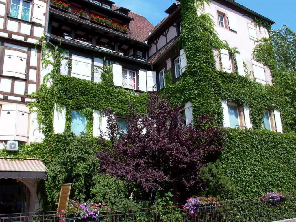 Apartmán Chez Pauline Colmar Exteriér fotografie
