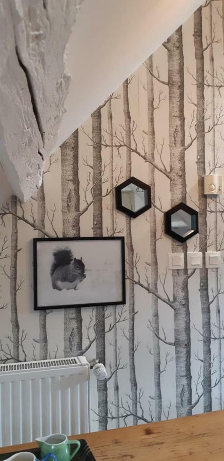 Apartmán Chez Pauline Colmar Exteriér fotografie