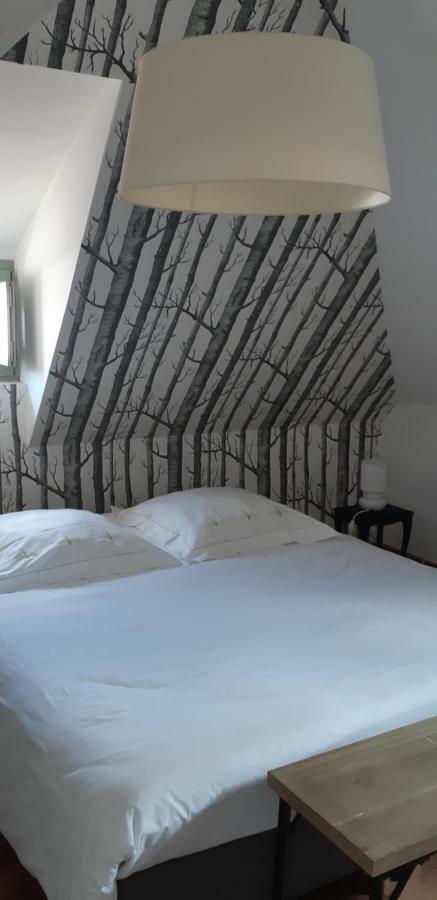 Apartmán Chez Pauline Colmar Exteriér fotografie