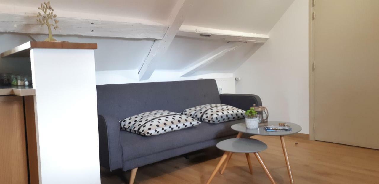 Apartmán Chez Pauline Colmar Exteriér fotografie